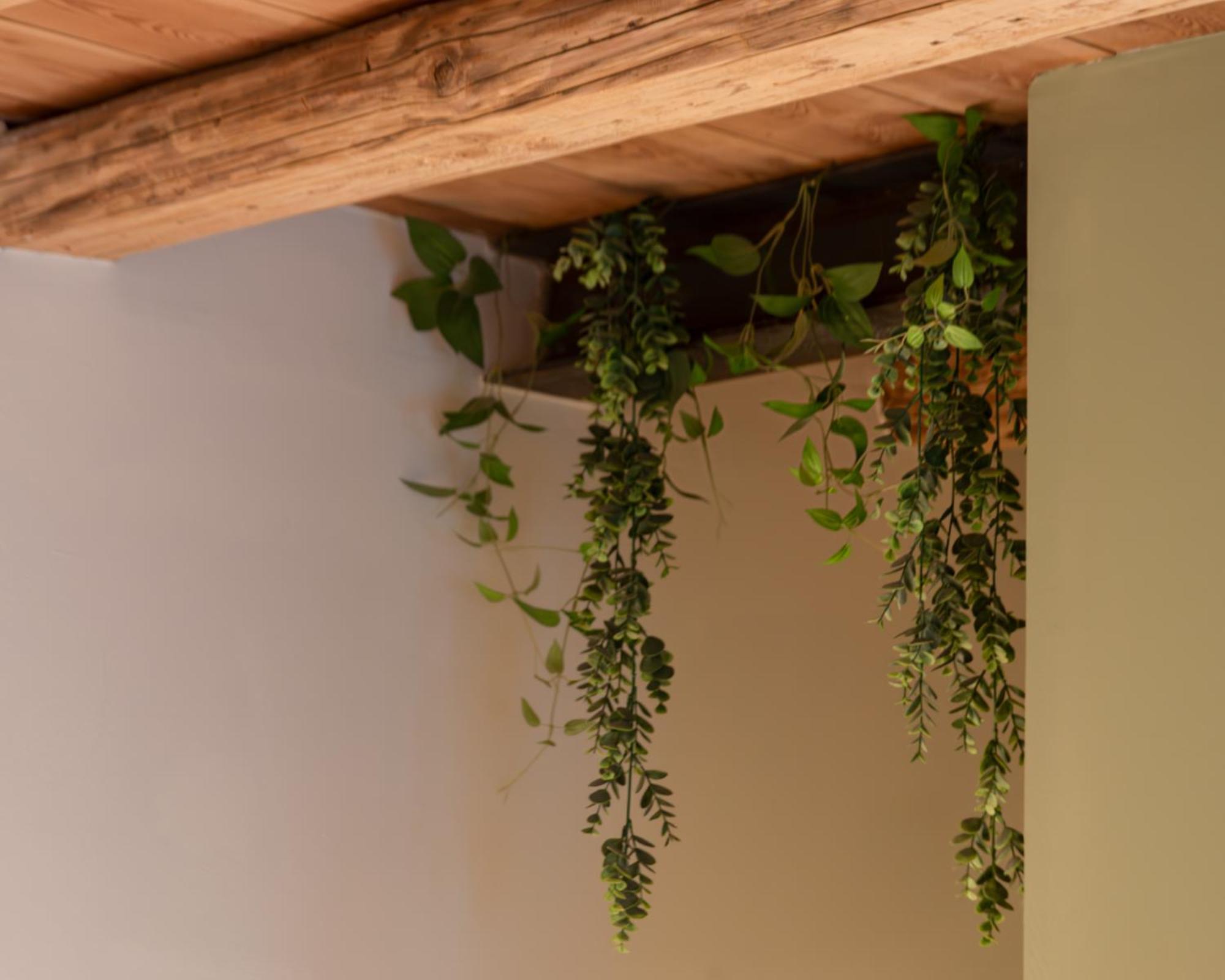 Bacaria Bed&Breakfast Bassano del Grappa Dış mekan fotoğraf